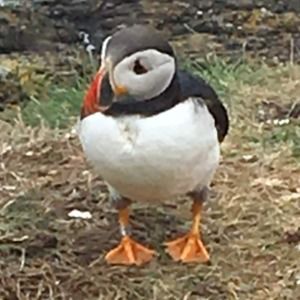 Meet your Posher, Kate